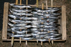 Sardine di Selinunte